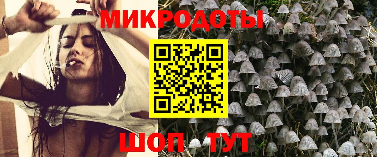 Псилоцибиновые грибы Cubensis  Вход с VPN  Кыштым 